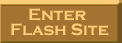 Enter Flash Enhanced Site